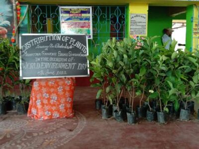Plant Distribution-min