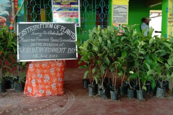 Plant Distribution-min